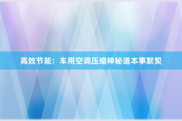 高效节能：车用空调压缩神秘道本事默契